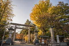 秋の護国神社