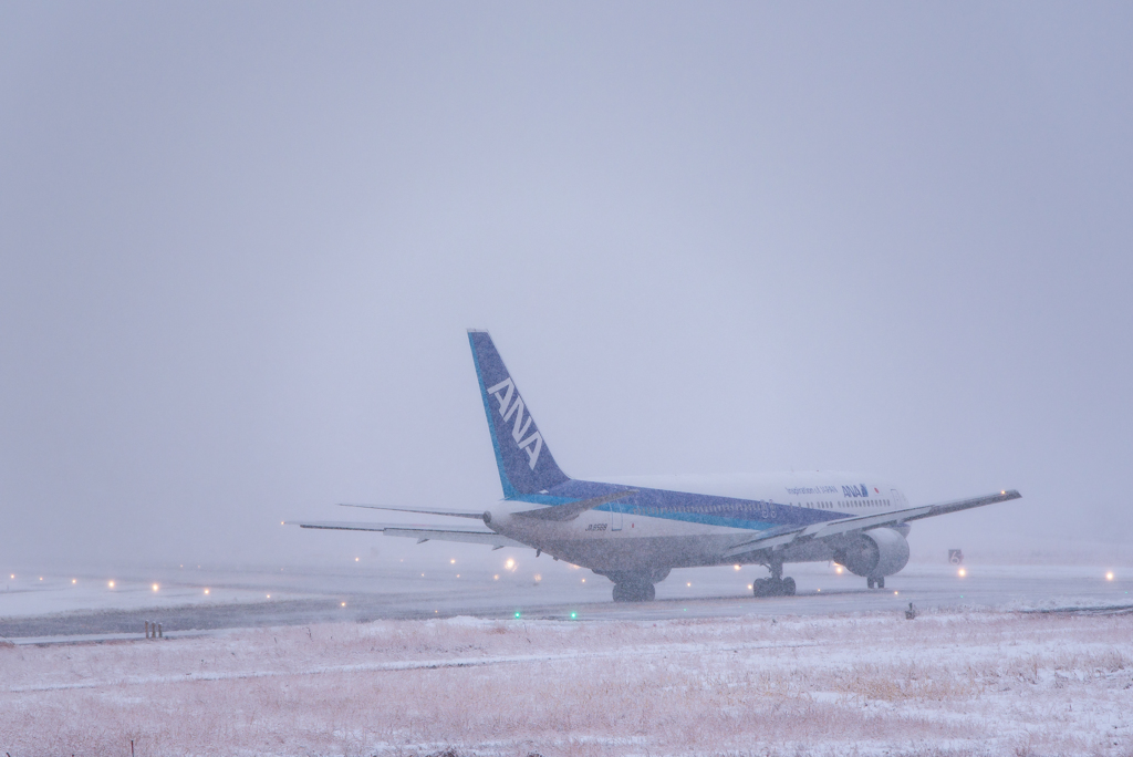 雪のフライト