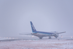 雪のフライト