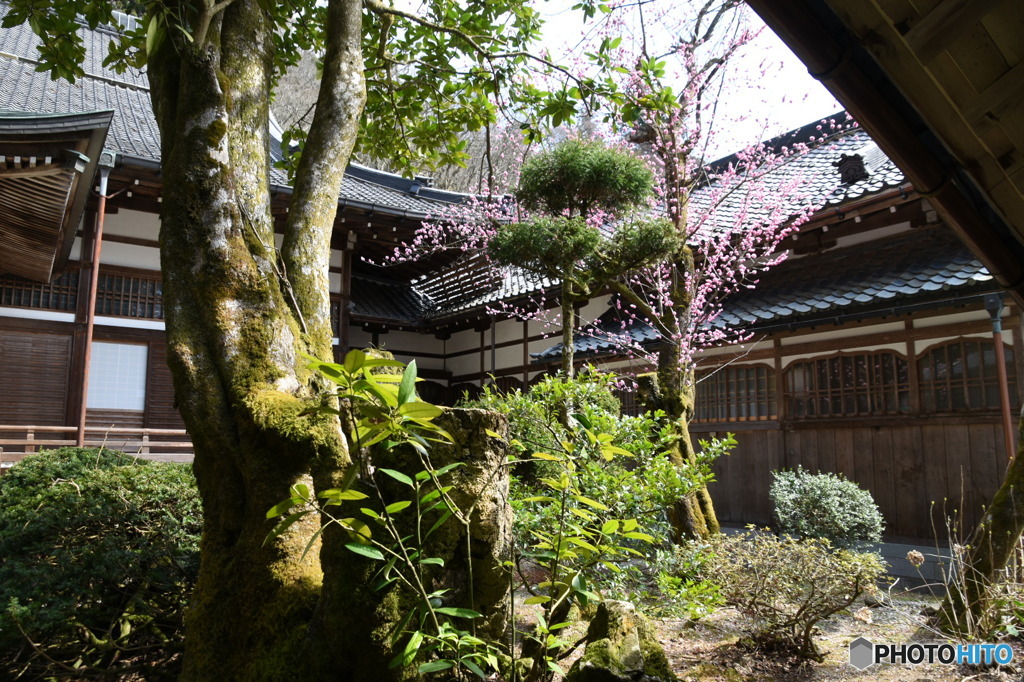 DSC_0567永平寺