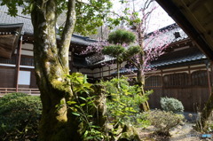 DSC_0567永平寺