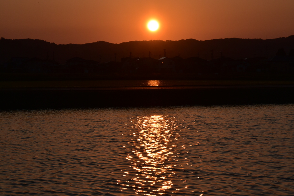春の夕日