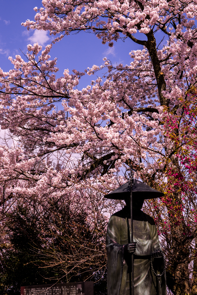 各願寺