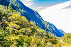 称名滝