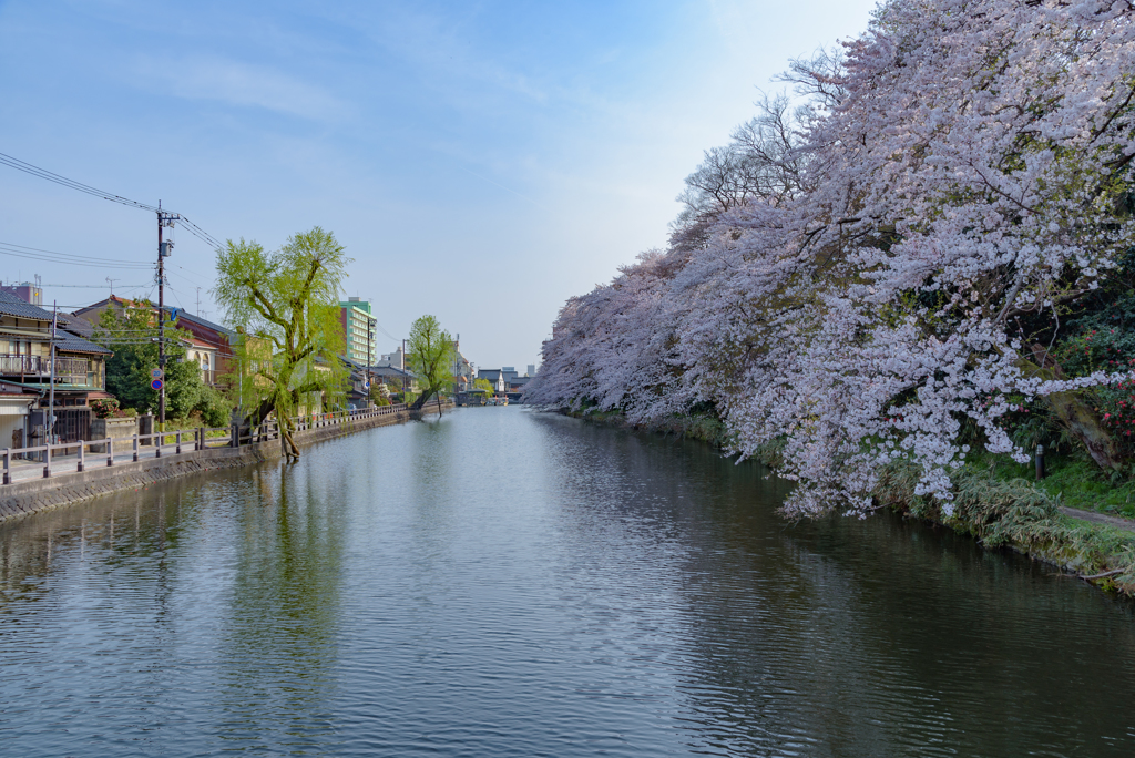 お濠と桜のある街