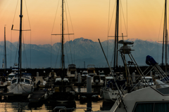 A marina at dusk