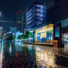 雨の富山