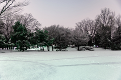 雪景色の公園