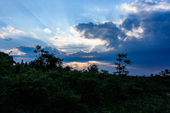 ジャングルの夕日