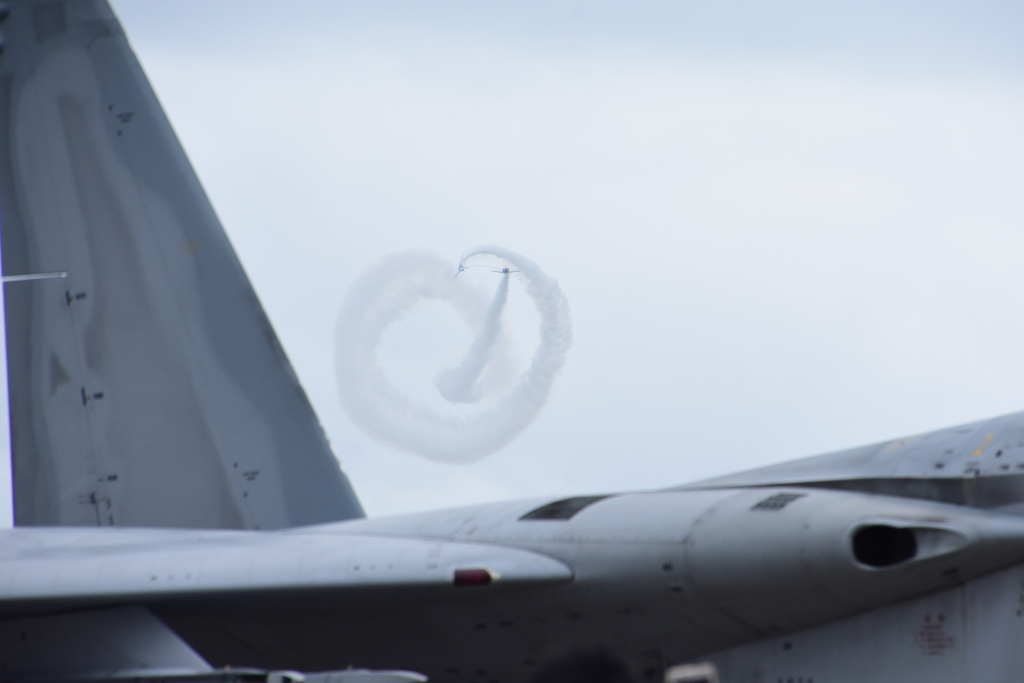 航空祭　Ｆ15の背後から