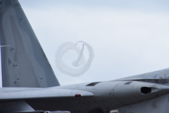 航空祭　Ｆ15の背後から