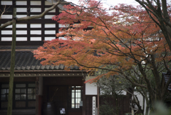 古民家と紅葉