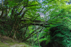 こおろぎ橋 