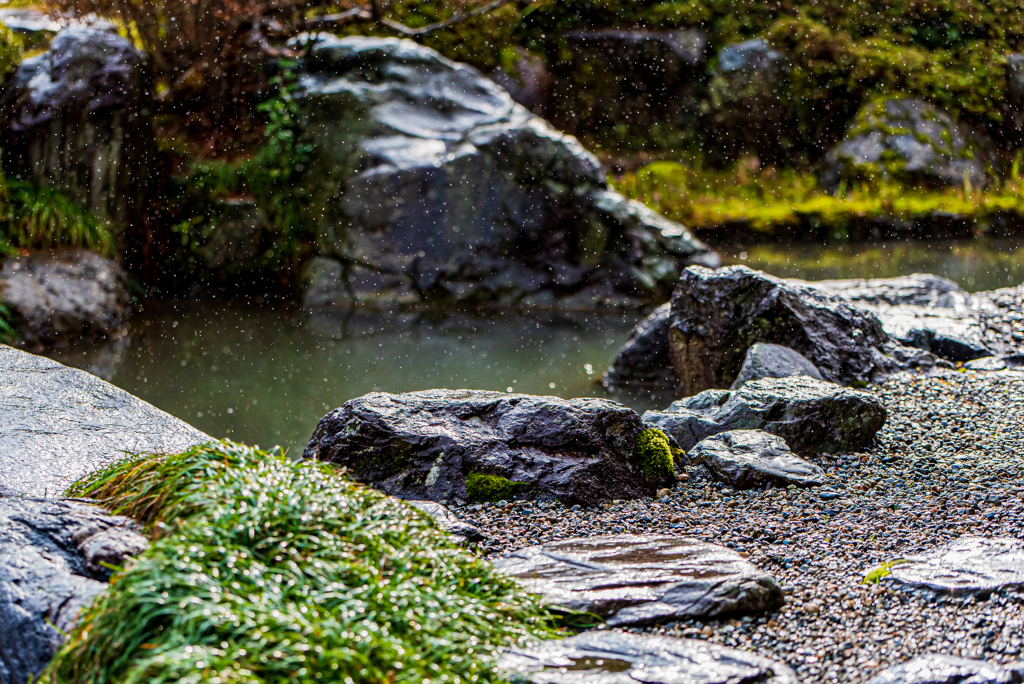 雨