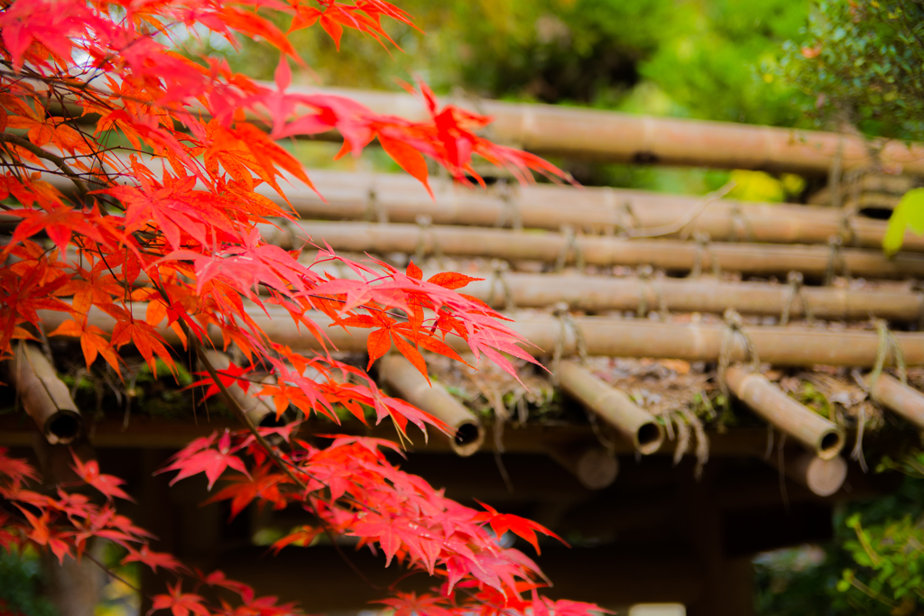 呉羽山　円山庵
