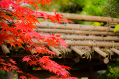 呉羽山　円山庵