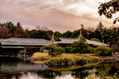 白鳥庭園にて