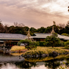 白鳥庭園にて