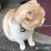 ミミちゃん