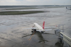 雨上がりの新千歳空港