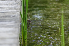 公園にて