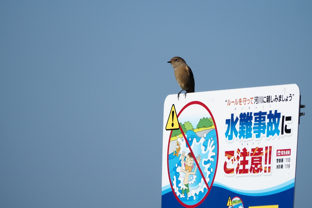 水難事故にご注意