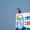 水難事故にご注意