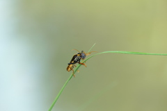 勝手に撮るなと怒られる