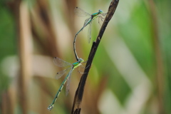 河川敷公園にて（10月第１週）