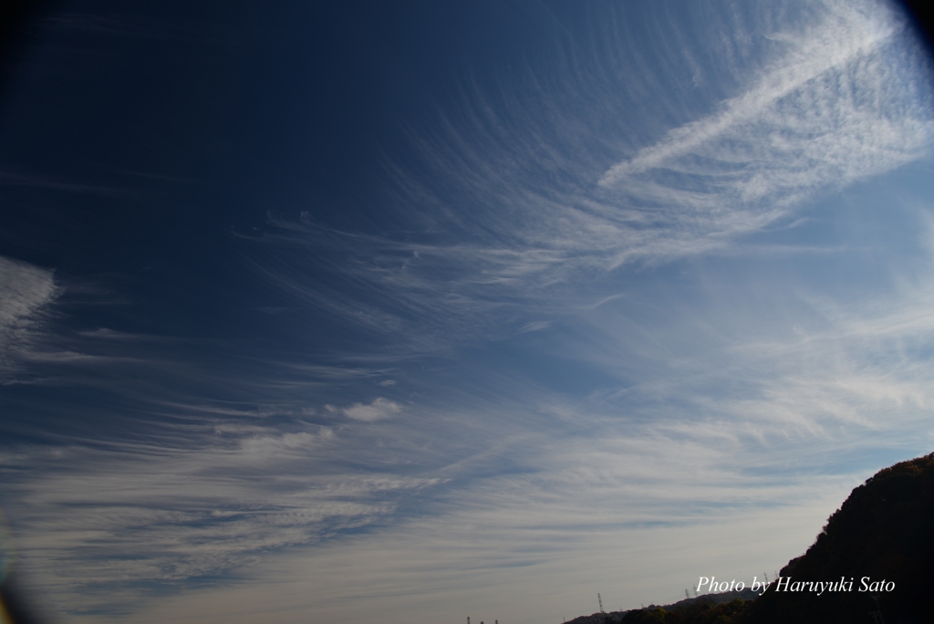 冬空