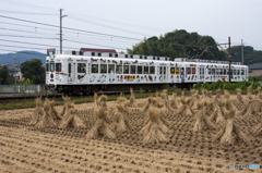 たま電車