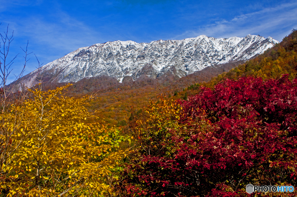 大山南壁の秋彩