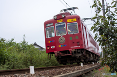 おもちゃ電車