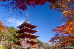 長谷寺の紅葉