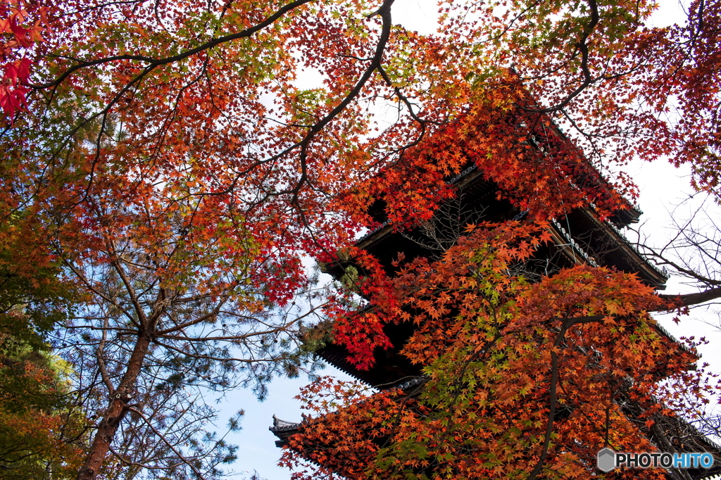 虹色の五重塔