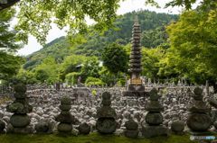 新緑の化野念仏寺