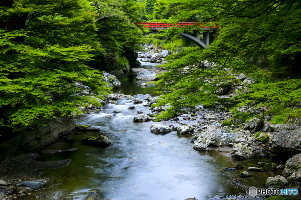 新緑の清流