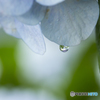 水滴の向こうには…