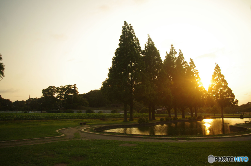 夏の日の夕暮れ