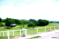那須どうぶつ王国