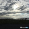 海と自転車