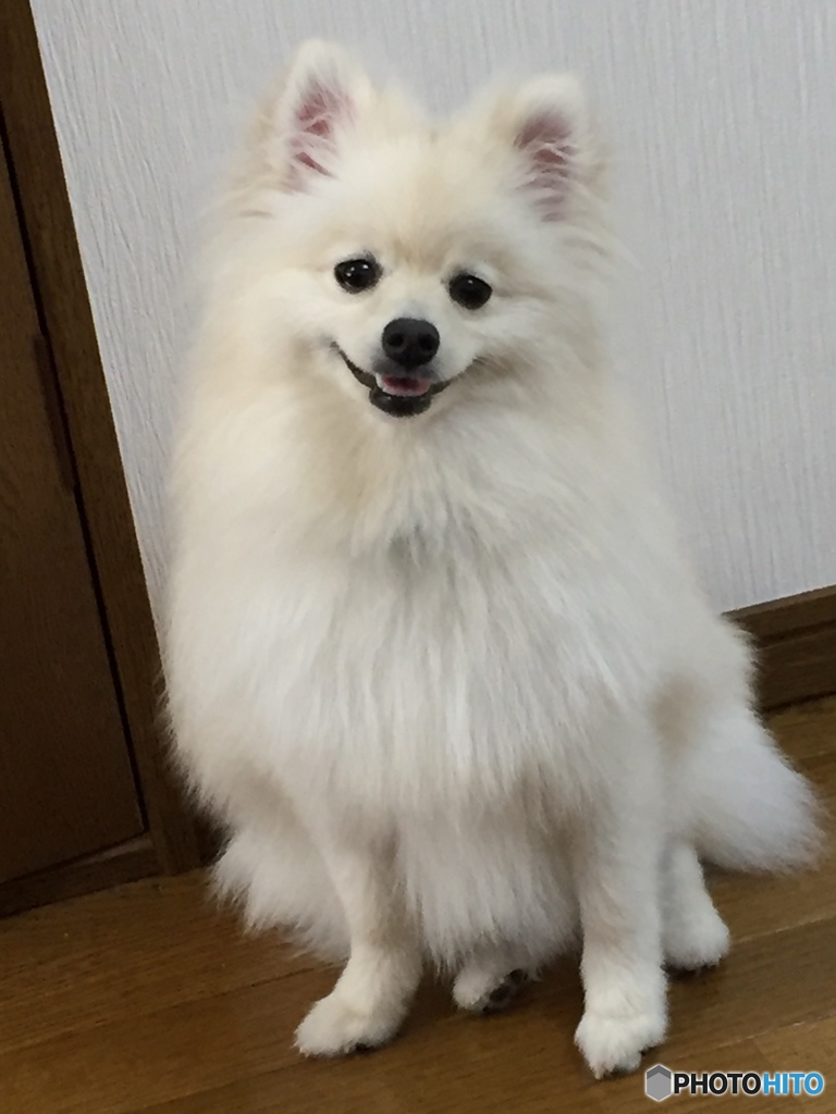 かわいいね