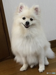 かわいいね