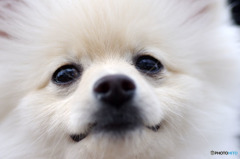 かわいいでしょ？！