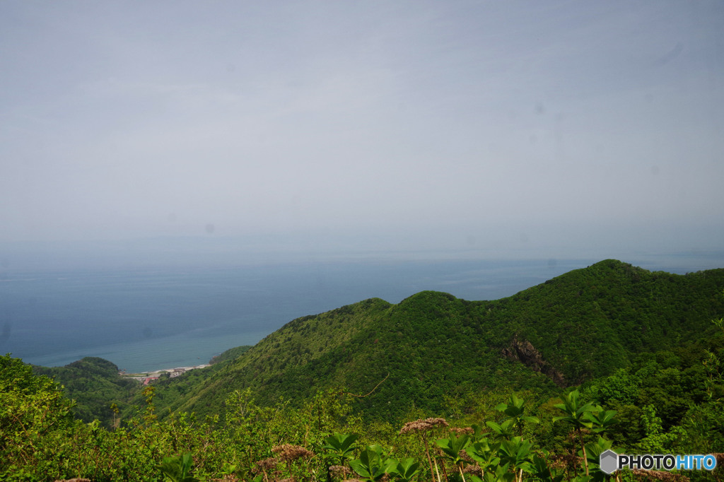 弥彦山からの景色