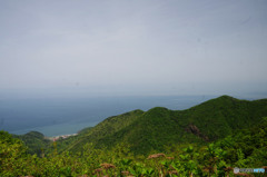 弥彦山からの景色