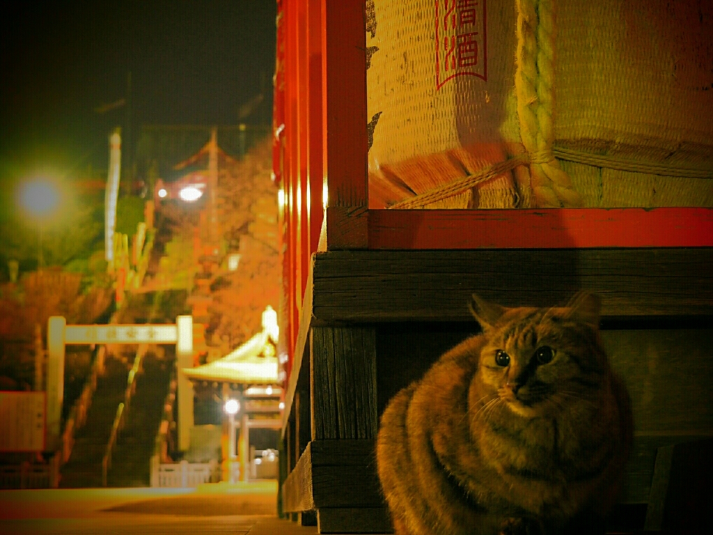 神社のおデブさん