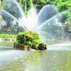 美しい私達の公園