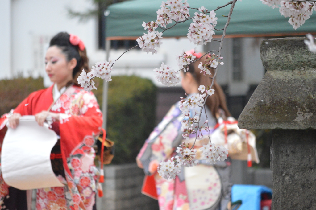 侘びと寂びの時