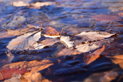 氷のままに